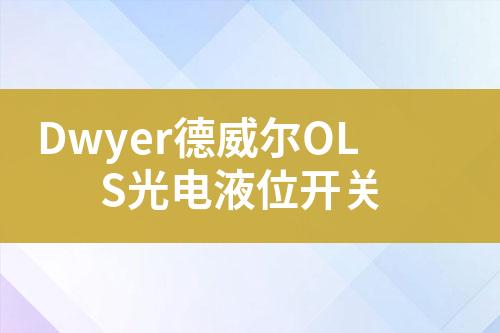 ${自定义变量_标题}